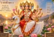 गायत्री माँ की आरती - माँ गायत्री हंस पर विराजमान पंचमुखी दिव्य रूप में